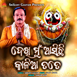 Dekhi Mu Asichi Kalia Tote