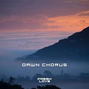 Dawn Chorus