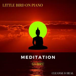 Little Bird On Piano