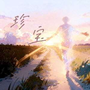 珍宝封面