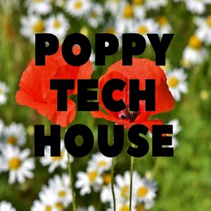 POPPY TECH HOUSE