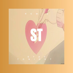 有贼心就要有贼胆 (DJ版)