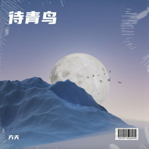 待青鸟