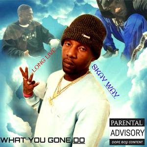 What you gone do (Hank talk to em) (feat. Skay way, JP Monopoly & Hank Greene) [Explicit]