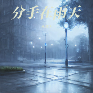 分手总要在雨天
