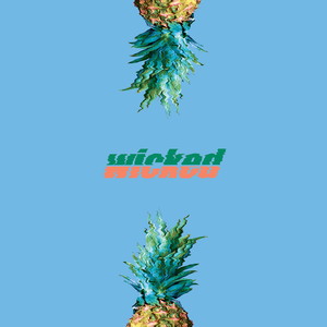 Wicked(feat. Chrissh)