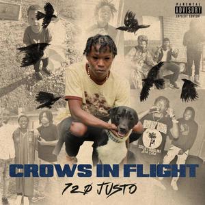 Crows In Flight (Explicit)