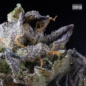 UN BARETO + (Explicit)