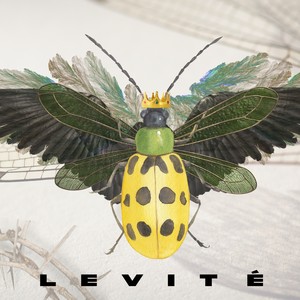 Levité (Explicit)