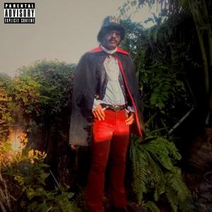 Mister Wolf (Explicit)