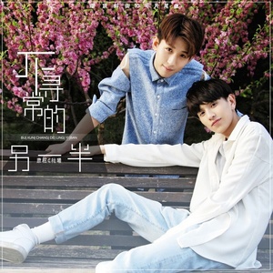 不寻常的另一半