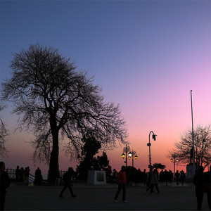 This Thing Called Life (Why We Do This) (Explicit)