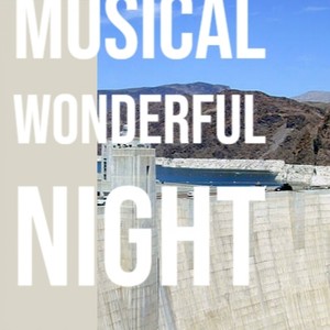 Musical Wonderful Night