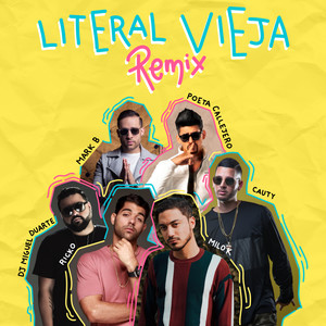 litEral viEja (Remix|Explicit)