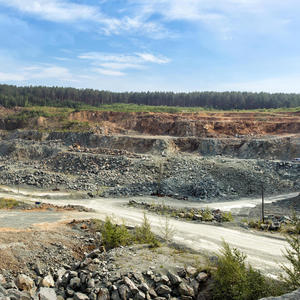 Topless America Xposed (feat. Xposed) (Explicit)