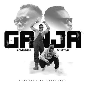 Ganja(feat. G-spack) (Explicit)