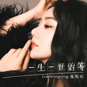 一生一世的等