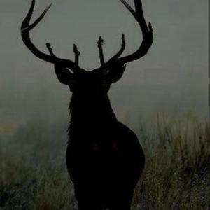 DEER (Explicit)