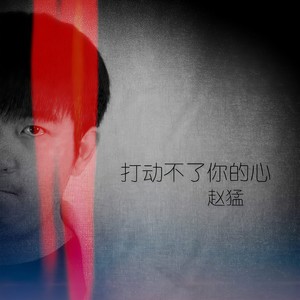 打动不了你的心