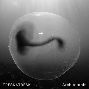 Architeuthis