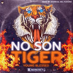 No Son Tiger (Explicit)