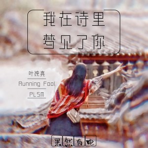 我在诗里梦见了你