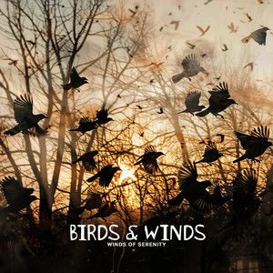 Birds & Winds