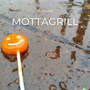 Mottagrill
