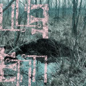 thunder, perfect: is coincidental with the vanity preceding death?