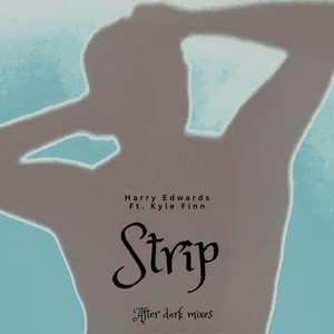 Strip (After Dark Mixes) [Explicit]