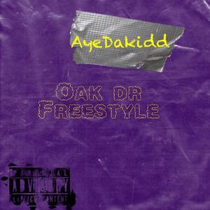 Oak Dr Freestyle (Explicit)