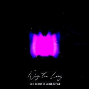 Way too Long(feat. James Savage) (Explicit)