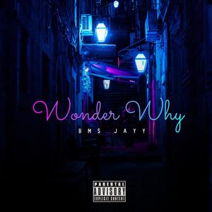 Wonder Why (Explicit)