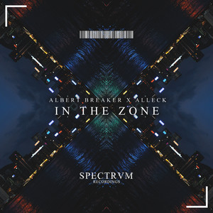 In The Zone (Original Mix)