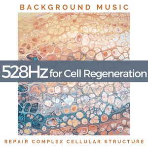 528Hz for Cell Regeneration: Solfeggio Background Music to Repair Complex Cellular Structure