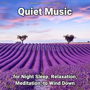 #01 Quiet Music for Night Sleep, Relaxation, Meditation, to Wind Down