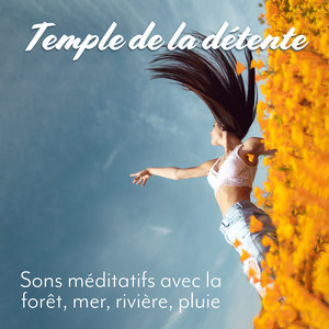 Temple de la détente: Sons méditatifs avec la forêt, mer, rivière, pluie