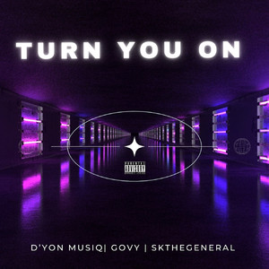 Turn You On (Explicit)