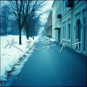 决定要分开 (浩浩-Dj版)