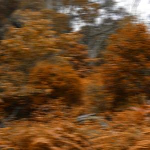 NEW DAY (feat. Young Orange, Sowdy & BoyBoy) (Explicit)