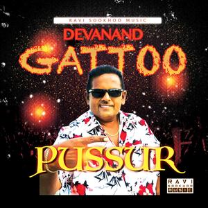 Pussur (feat. Devanand Gattoo)