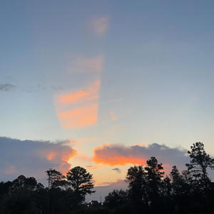 How You Feel ? (feat. deshxn) (Explicit)