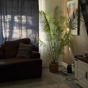 like ma own (feat. qrezive) (Explicit)