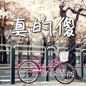 真的傻 (钢琴版)封面