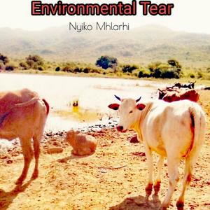 Environmental Tear