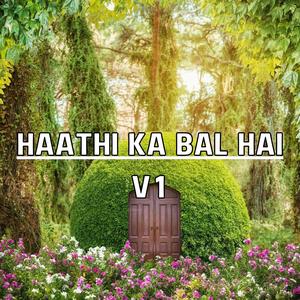 Haathi Ka Bal Hai V1