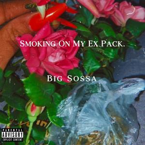 Smoking On My Ex Pack. (Explicit)