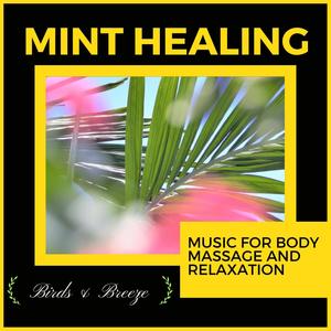 Mint Healing - Music For Body Massage And Relaxation