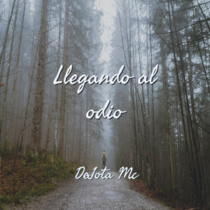 Llegando al Odio