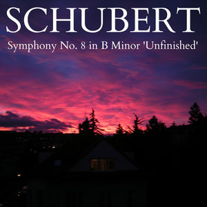 Schubert - Symphony No. 8 in B Minor, D.759 'Unfinished'